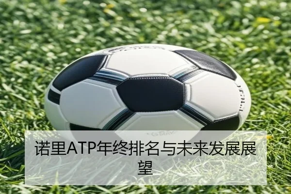 诺里ATP年终排名与未来发展展望